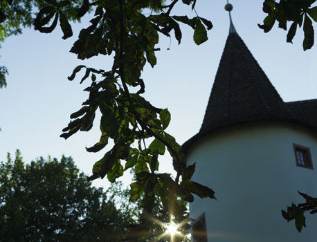 Hotel Castle Garden Binningen Екстериор снимка